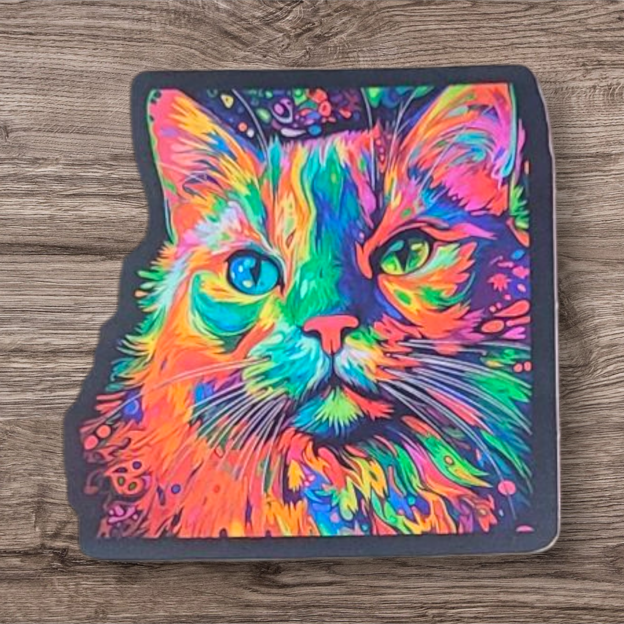Rainbow Splash Cat Sticker